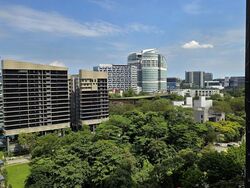 The Rochester Residences (D5), Apartment #470740281